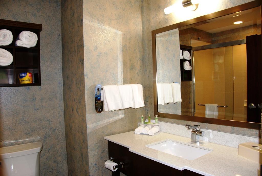 Holiday Inn Express & Suites St Louis Airport By Ihg Woodson Terrace Rum bild